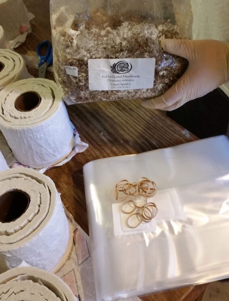 معایب پرورش قارچ با دستمال کاغذی
